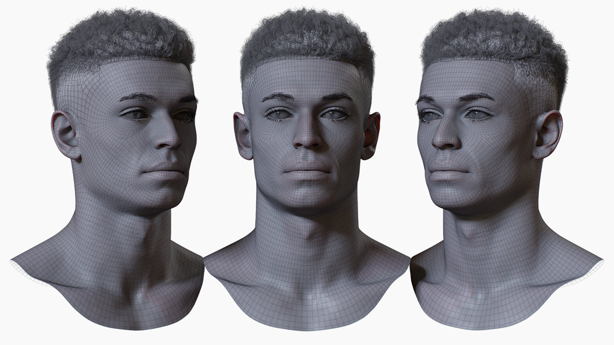 Polygon topology for the face